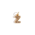 Macro-opname van gouden letter-Z hanger met ingelegde zirkonia kristallen detail - Letter Z (JDB0321-Z)