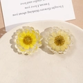 Dettaglio dei ciondoli in resina con margherite gialle essiccate per gioielli fatti a mano - Margherita Gialla / Giallo