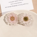 Detalle de dijes redondos de resina con margaritas reales para la creación de joyas - Rosa
