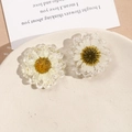 Dettaglio macro di fiori di margherita in resina con veri fiori secchi per creazioni DIY - Margherita Bianca / Bianco