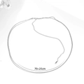 Sexy double layer stainless steel silver snake chain waist belt with 70+25cm adjustable length - Silver
