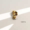 Detalle del colgante de leopardo irregular con dimensiones de 23,5 mm x 14,5 mm - Letra P