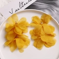 Detailed macro view of yellow layered organza puff flower earrings with gold hooks - Yellow