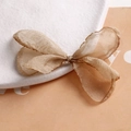 Detail of light champagne sheer mesh bow accessory with elegant pearlescent texture - Brown