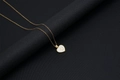 Elegant gold-plated necklace with a heart-shaped shell pendant featuring the letter D - Shell Heart Letter D (With Chain)