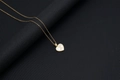 Golden heart necklace featuring a white shell inlay and a cursive letter X pendant - Shell Heart Letter X (With Chain)