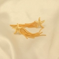 Detailansicht der goldenen Seestern-Ohrringe mit eleganten langen Metallfransen-Quasten - Seestern Quaste Stil / Gold