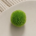 Dettaglio macro di un pompon verde brillante su vassoio bianco per lavori fai da te - Verde Erba