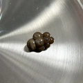 Ciondolo a bolla in acrilico marmorizzato marrone con foro centrale per creazione gioielli - Accessorio Bolla Marmorizzata / Marmorizzato Caffè Profondo