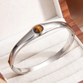 Bracelet jonc en acier inoxydable argenté avec œil de tigre et charnière minimaliste - Brun (Argent)