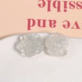 Gros plan de pétales de rose en résine translucide avec paillettes argentées pour bijoux - Feuille d'Argent Transparente
