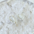 Dettaglio di perle di vetro traslucide a forma di cuore per gioielli fai-da-te con spillo - 1# Bianco Perla Conchiglia