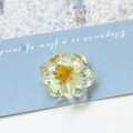 Makroaufnahme eines transparenten Harzanhängers mit gelben Trockenblumen für DIY-Schmuck - Gänseblümchen