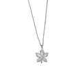 Elegant maple flower necklace with white shell petals and silver chain on white background - Silver
