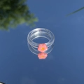 Detail eines transparenten Harzrings mit rosa Blume, gespiegelt vor blauem Himmel - Rosa