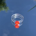 Nahaufnahme eines klaren Harzblumenrings, der blauen Himmel und grüne Blätter auf Spiegel zeigt - Rot