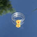 Transparenter Harzring mit gelber Blume vor einem blauen Himmelshintergrund - Gelb