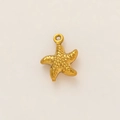 Macro shot of 18K gold-plated starfish pendant with realistic textured metal detail - Textured Starfish