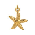 Primer plano de un colgante de estrella de mar bañada en oro 18K con textura fina - Pendant Only (Without Chain) - Estrella de Mar