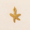 Detalle macro del colgante de estrella de mar bañado en oro 18K con textura de grano - Estrella de Mar Solo (Sin Cadena)