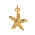 18K gold-plated stainless steel starfish pendant with textured detail and top ring - Pendant Only (Without Chain) - Starfish