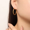Fashionable gold twisted rope hoop earrings in minimalist titanium steel for women - Twisted Rope Style (F1414) / Gold