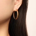 Fashionable golden twisted rope hoop earrings made of titanium steel for women - Twisted Rope Style (F1422) / Gold