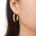Fashionable golden hoop earrings with unique twisted texture design for women - Twisted Rope Style (F1425) / Gold