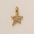 Vue détaillée d'un pendentif étoile plaqué or avec sertissage micro-pavé en zircone - Pentagramme