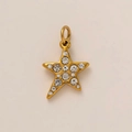 Macro detail of 18K gold plated star pendant with sparkling cubic zirconia crystals - Pentagram