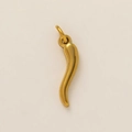 Detailed close-up of polished gold chili pendant with top ring for jewelry DIY - Chili Pendant