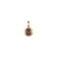 Minimalist 18K gold plated stainless steel necklace with faceted red birthstone pendant - January Birthstone Pendant Only (Without Chain)