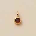 Golden hexagon necklace with round orange gemstone pendant and birthstone flower detail - January Round Pendant