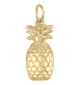 Detailed macro view of an 18K gold plated stainless steel pineapple pendant with carved texture - Pineapple
