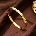 Modern 18k gold plated titanium bangle with green and beige irregular enamel patterns - 6mm Enamel / Abstract Camouflage (A710)