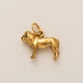 Gouden leeuwen hanger van 18K verguld roestvrij staal voor het maken van DIY sieraden - Leeuwenhanger (Met Ronde Ring) / Goud