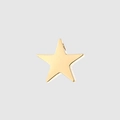 Polierter goldener Stern-Anhänger aus Edelstahl mit einer glänzenden Metalloberfläche - Gold