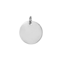 Poliertes Silber Edelstahl 9mm Rundanhänger für DIY-Schmuck und Haustiermarken - Stahlfarben