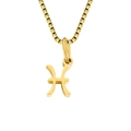 Pisces zodiac pendant necklace in gold stainless steel with a classic box chain - Pisces / Gold
