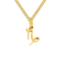 Gold stainless steel Capricorn zodiac necklace with minimalist curb chain for women - Capricorn / Gold