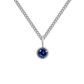 Geboortesteen ketting met donkerblauwe edelsteen hanger aan een zilveren roestvrijstalen ketting - September Koningsblauw - Zilver