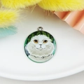 Dettaglio del ciondolo rotondo con gatto bianco soffice e motivo di foglie verdi naturali - Stile Gatto Bianco a Pelo Lungo (6)
