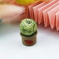 Vista macro di ciondolo cactus in resina 3D con vaso a cuore per gioielli DIY - Stile Marrone Cuore (6)
