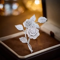 Elegant silver rose brooch with sparkling crystals in a luxury jewelry gift box - Silver
