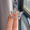 Détail d'une broche couronne argentée avec strass tenue à la main pour la taille - Argent (XZ0014-12)