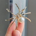 Golden spider brooch with white faux pearl and rhinestones held in hand for size display - Gold