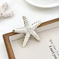 Zeester broche met wit emaille en fonkelende steentjes op houten frame - Wit