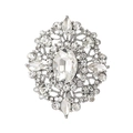 Detailansicht der luxuriösen Vintage-Kristallbrosche mit Silberlegierung und Marquise-Steinen - Silber Weißer Kristall Brosche