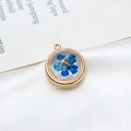 Detailed macro view of a gold-plated circular pendant with a real blue dried flower inside - 18mm / Blue