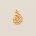 Gedetailleerde weergave van gouden nautilus hanger met spiraalvormige groeven en glans - Schelp
